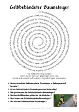 Gelbbebänderte Baumsteiger.pdf